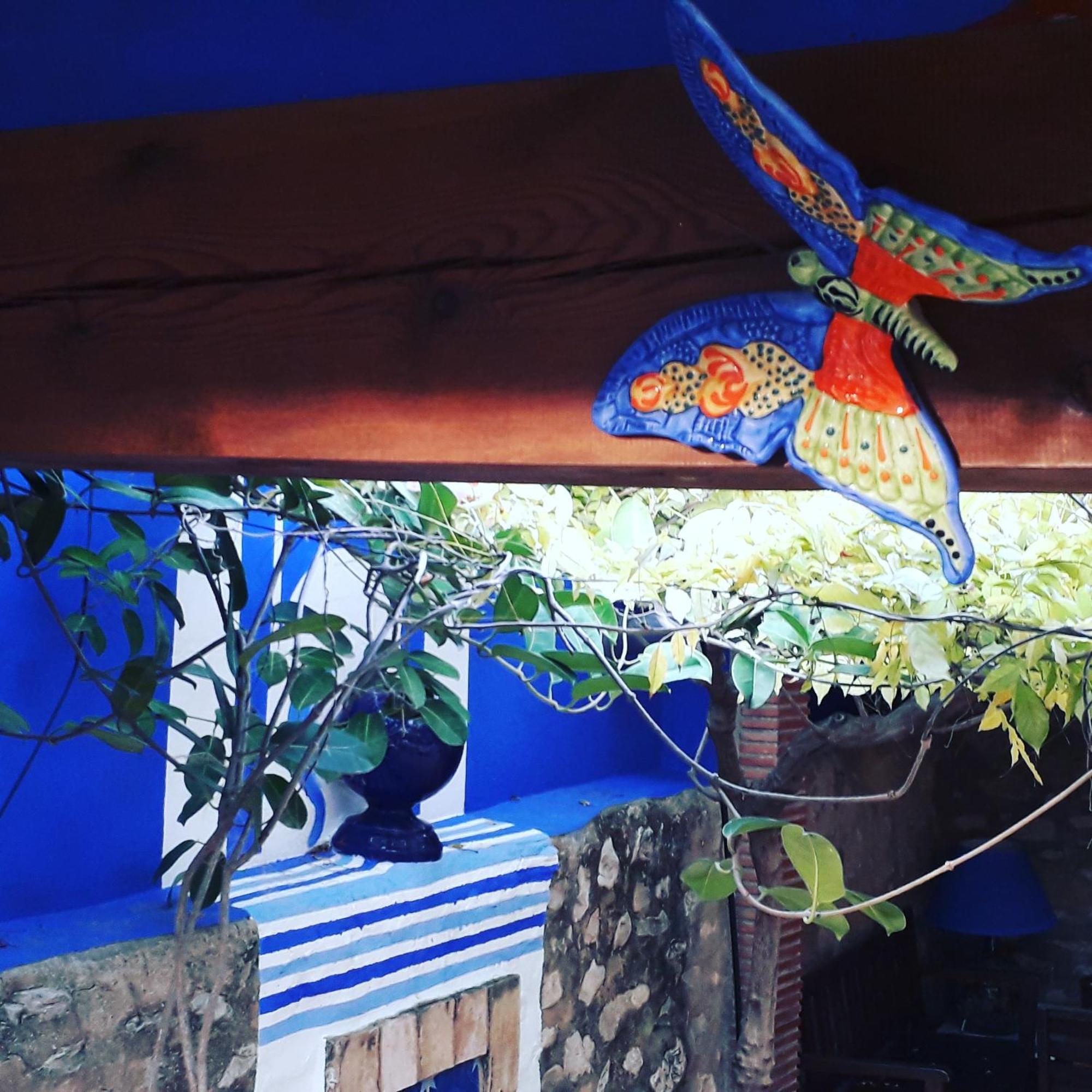 Casa Gallinera Benissiva Екстериор снимка